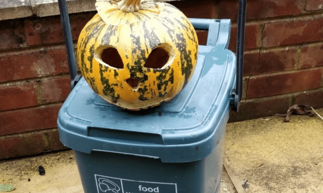 Recycle your pumpkins this Halloween