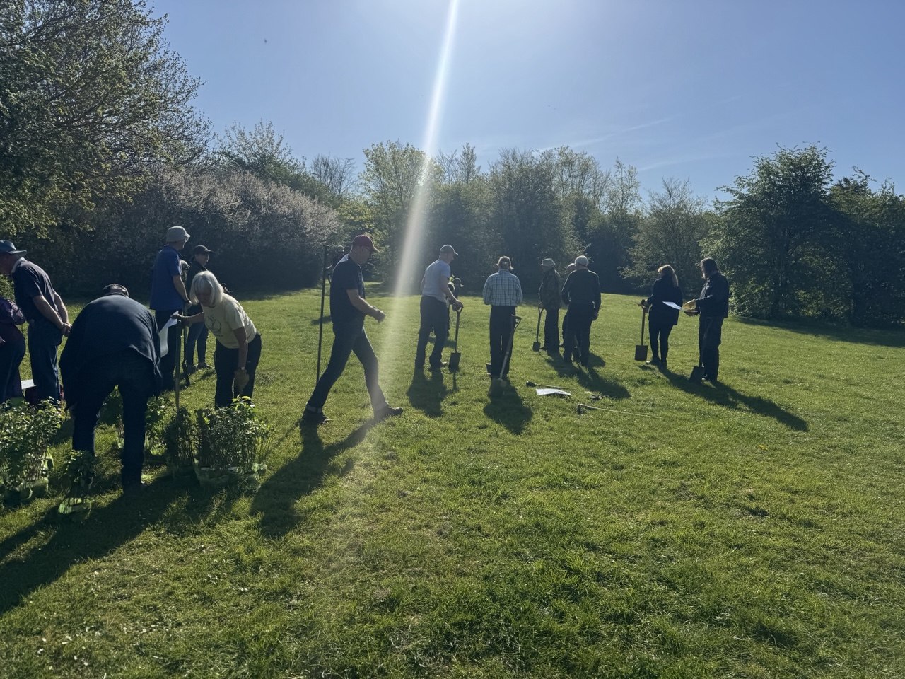 Tree Planting at John Cox
